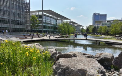 Level Complete for Pokémon