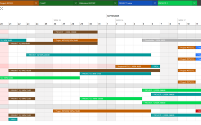ABF Global Investment – Programme Management
